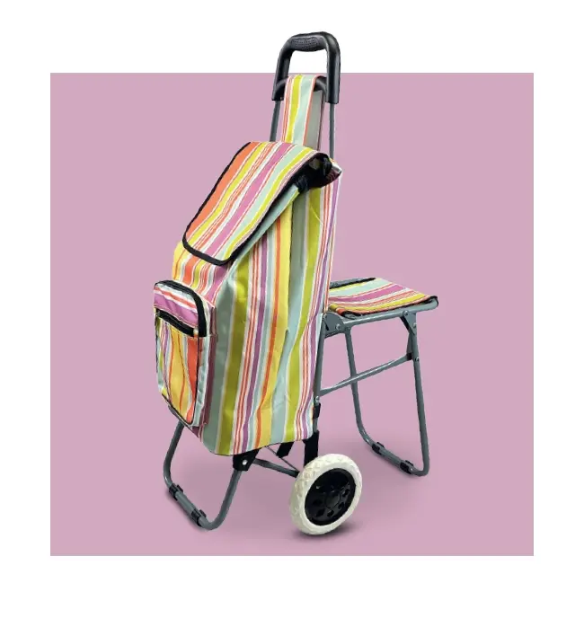 A detailed image of a smart shopping trolley with a fold down seat over a pink background