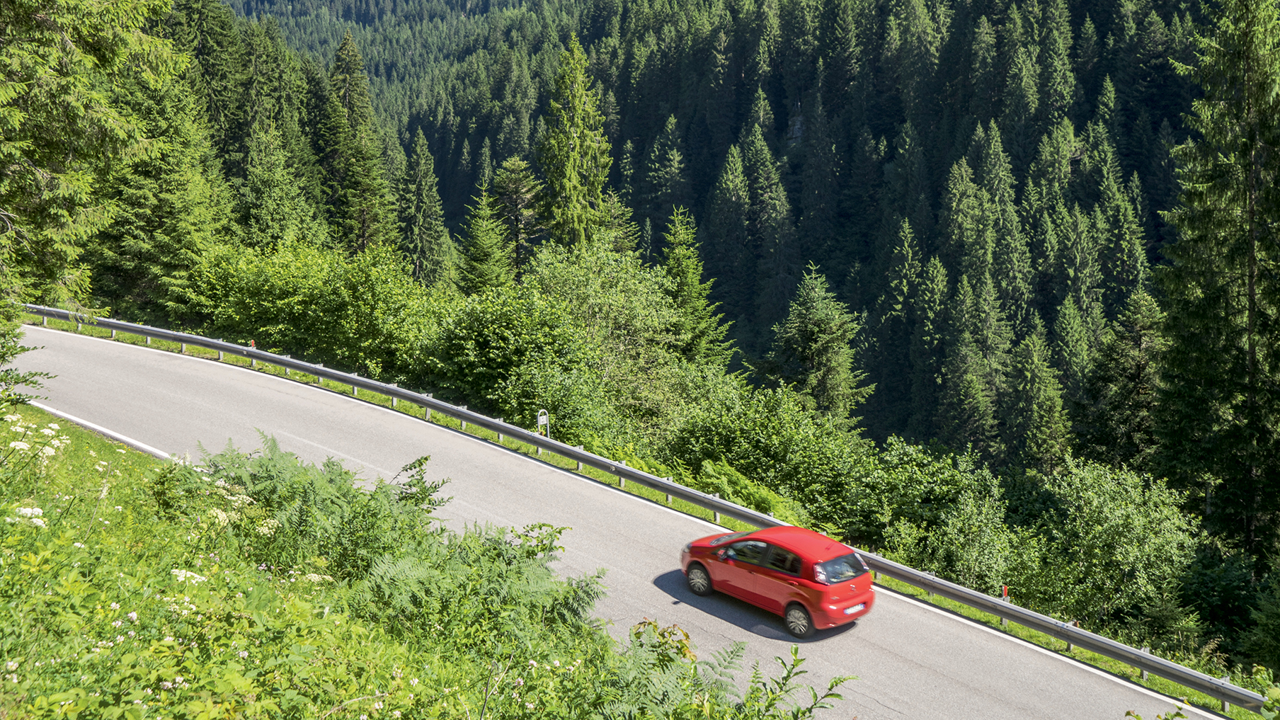 Car driving through forest
