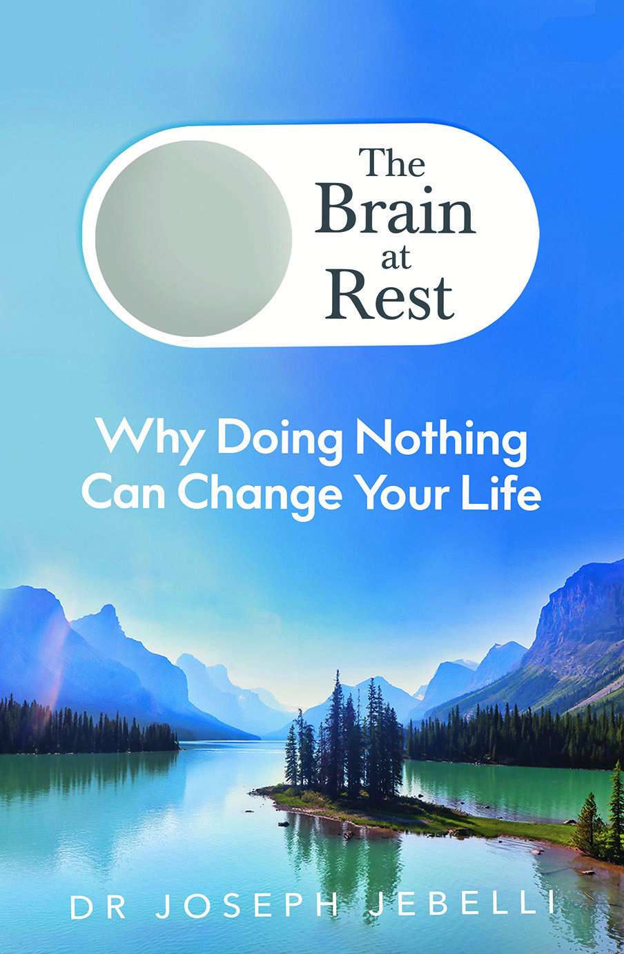The Brain At Rest book cover